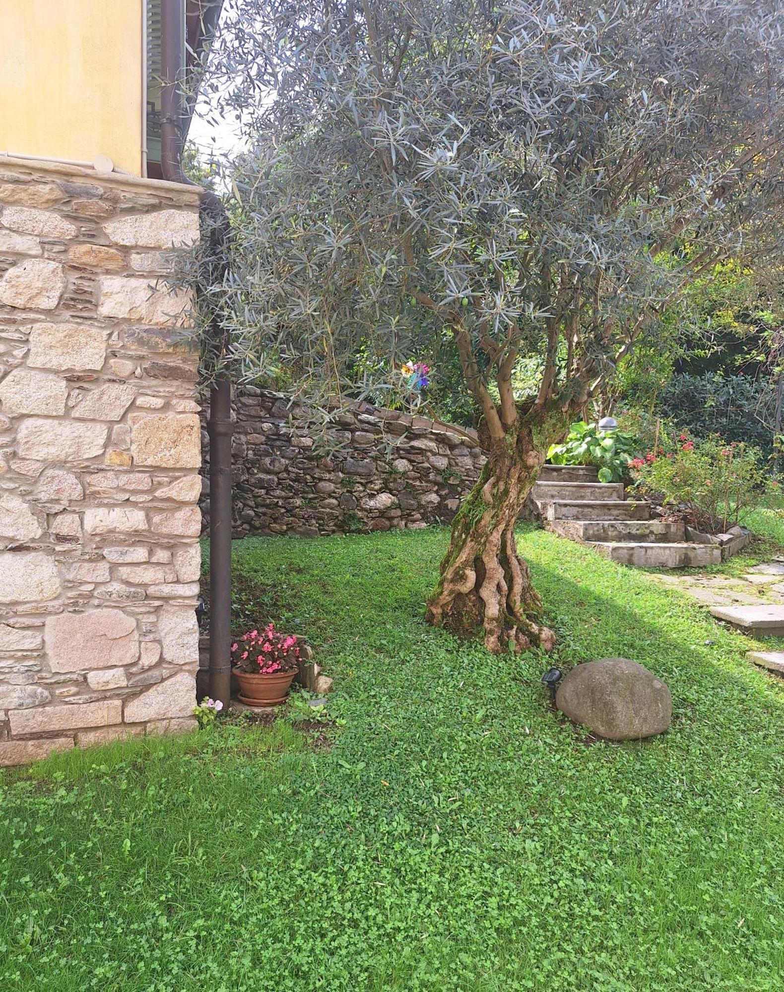 La Dependance Immersa Nel Parco Della Villa Isabella Stresa Exterior photo